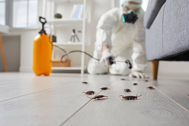Commercial Kitchen Cockroach Control in Caney